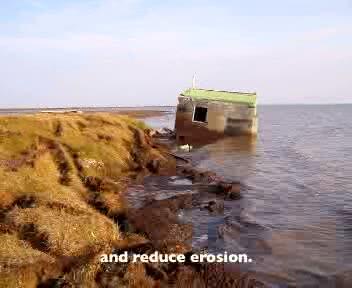 video thumbnail: Wade into Wetlands Research