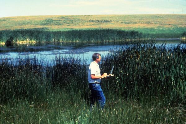 Image: Conducting a Breeding Bird Survey