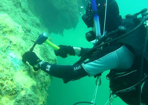 Image: Sampling Diseased Coral