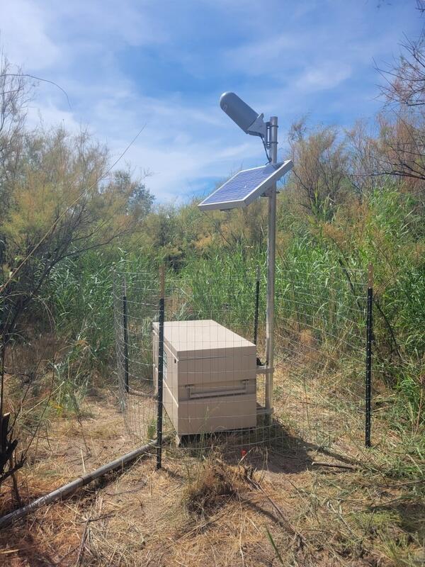 Metal chest, solar panel, and antenna set on grassy ground surrounded by wire fencing.