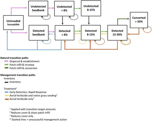 arrows of different colors point between different boxes with a key to the colors below