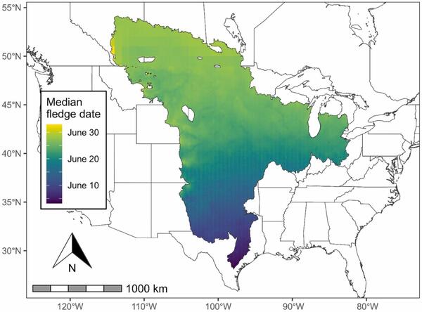 map of the US with a polygon extending from Texas into Canada and from Montana into Ohio.