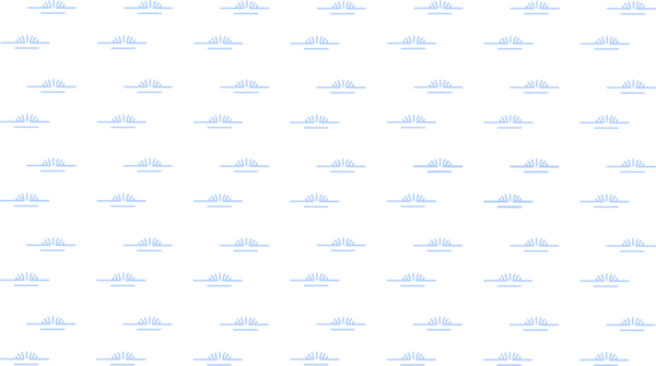 OnDemand - 100K - HYDRO - Freshwater Emergent Wetland