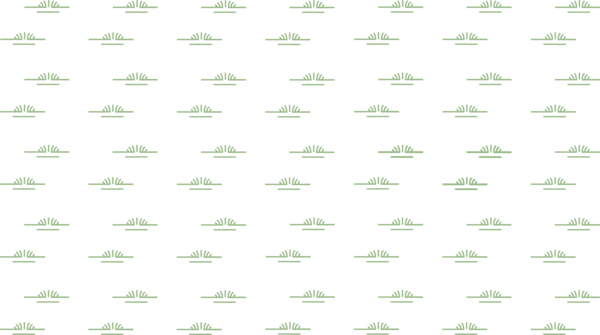 OnDemand - 100K - HYDRO - Freshwater Forest Shrub Wetland