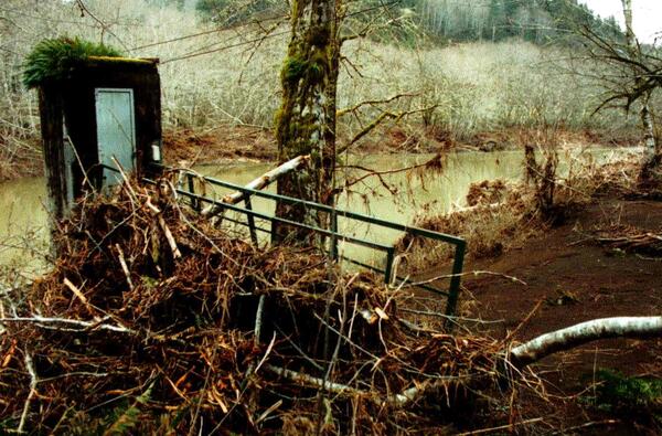 large pile of wood, sticks against the gage house walkway ramp.