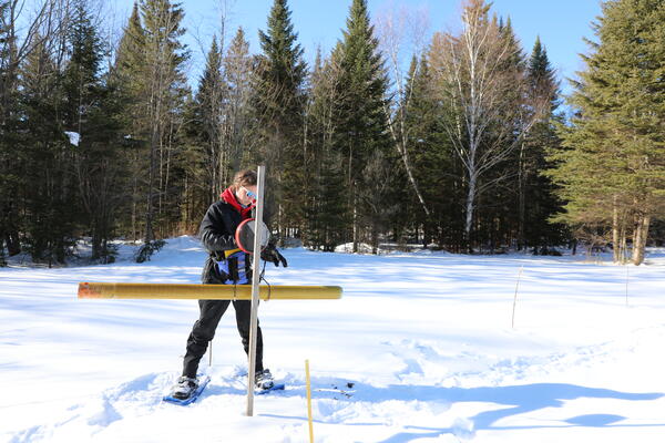 A woman in snowshoes weighing a long yellow pole in a snowy field.