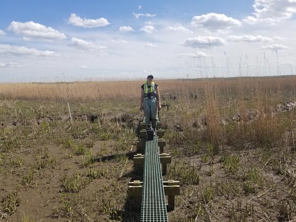 Person standing on temporary walkway in marsh