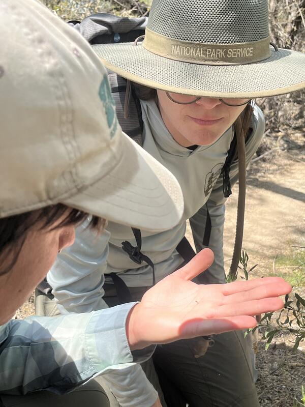 A close up photo of two people looking at a tiny snail in one of their hands