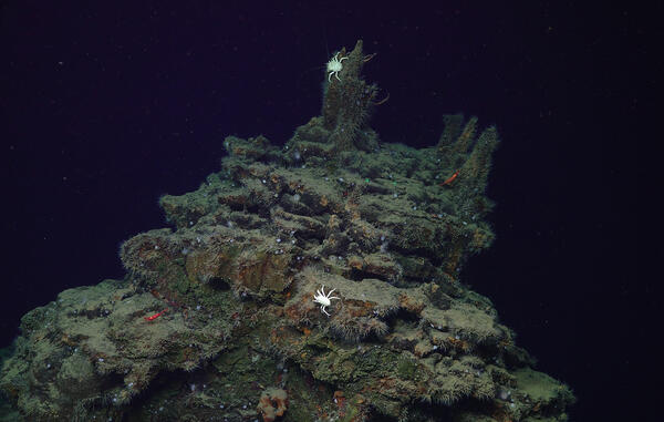 Image taken by a remotely operated vehicle of a seafloor massive sulfide at Escanaba Trough