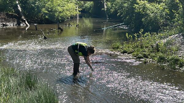 Hydrologic technician collects a water-quality sample from a creek