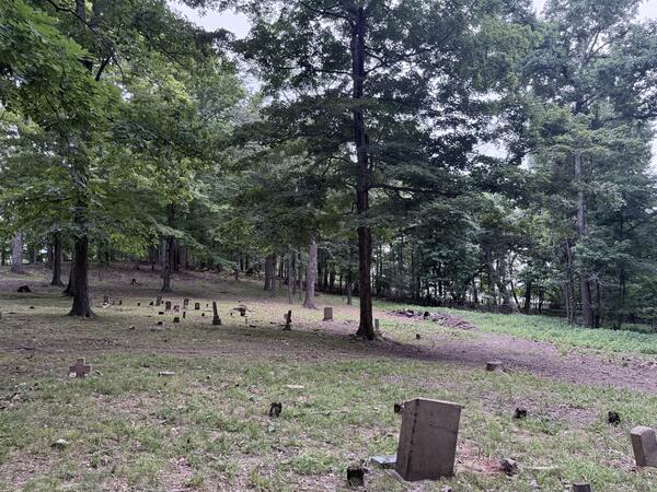 A quiet, wooded cemetery with scattered small, weathered gravestones among tall trees.