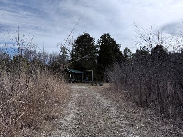 A wide gravel path leads through tall dry grass toward the cemetery picnic area.