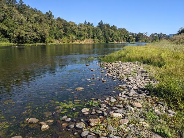 Low water flows over loose cobbles and gravel with grasses on the riverbank. Far bank is tree lined.