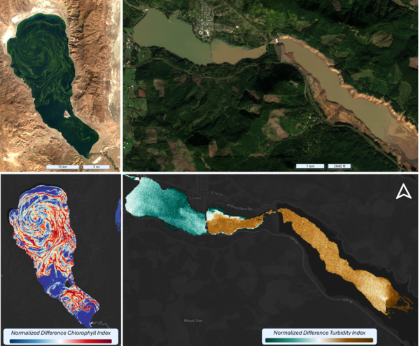 remote sensing images of algal bloom and sediment plumes