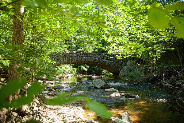 A bridge made out of rocks arches over a creek
