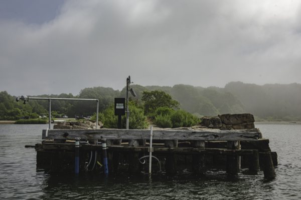 Image of continuous water quality gaging station located at Poquonnock River at Bluff Point State Park, CT