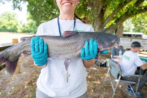A female scientist holds a blue catfish for a closer look at the skin and fins. 