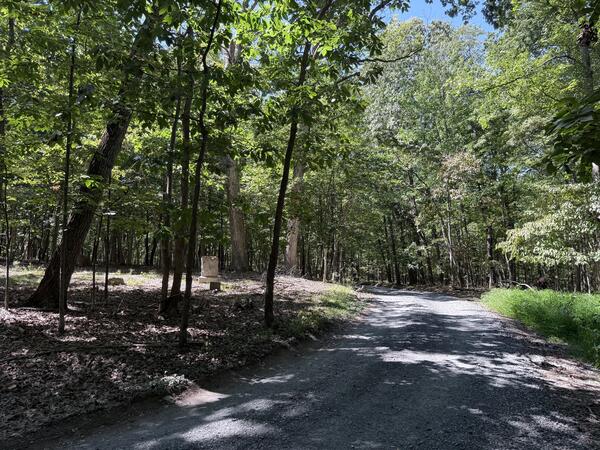 Gravel road passing a wooded cemetery with a few headstones.