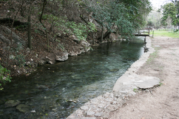 Image of the Comal river during spring runoff