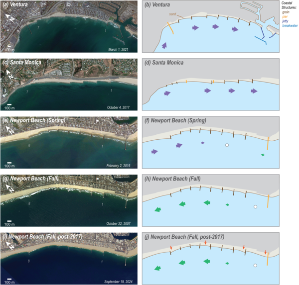 Conceptualization of observed longshore transport and shoreline patterns around groin fields at each study site