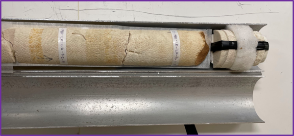 Coral core sample in aluminum tube for scanning