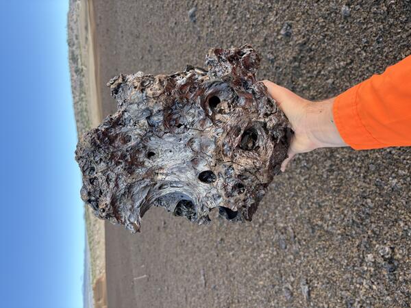 color photo of a man's hand holding a large, black lava bomb about the size of a basketball. 