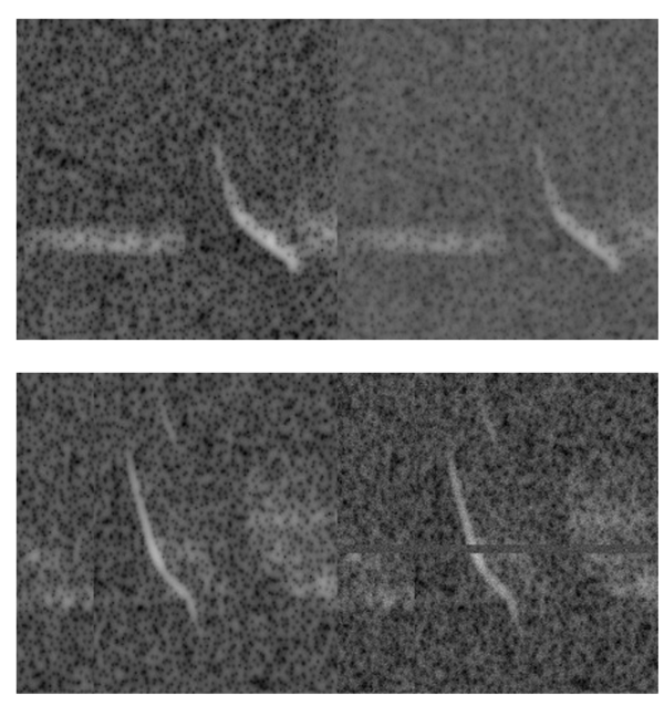 two spectrograms on the left in grayscale, with slightly altered versions of each on the right