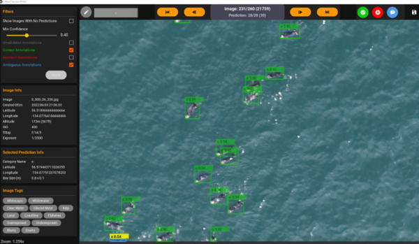 Example of a screen capture of machine learning assisted image processing with OtterChecker9000 from the USFWS aerial survey.