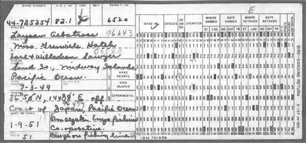 an old punch card, with almost ineligible cursive displaying an early banding of a bird. 