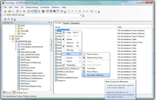 Creating a new Geometric Network view