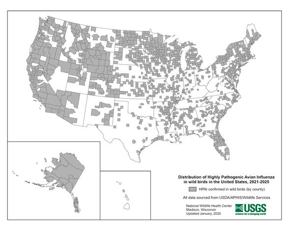 Map showing current distribution of Highly Pathogenic Avian Influenza virus detections in wild birds in the United States.