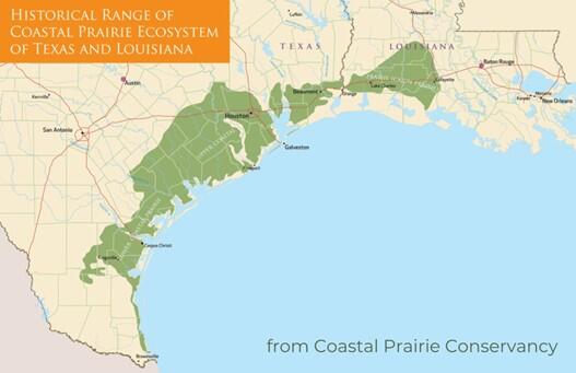 Historical range of coastal prairie ecosystem of TX and LA from the Coastal Prairie Conservancy