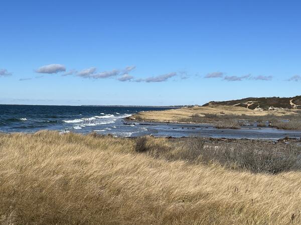 picture of the shoreline where a river is meeting the ocean on a blue sky day