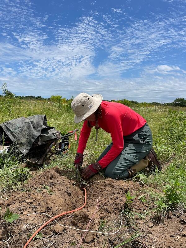 Burying a magnetic-field sensor at a USMTArray site. Cabling is also buried to protect against damage by animals.