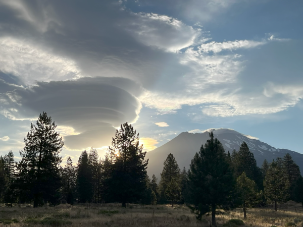 A photograph taken on the forested lower slopes of a mountain looks toward a snowy peak. A stack of saucer-shaped clouds to the left of the mountain are illuminated by the rays of the sun as they peek over the slopes. In the foreground, pine trees are thrown into stark contrast by the dramatic sky above.