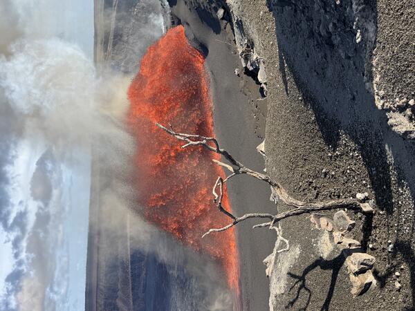 Color photograph of lava fountain with dead tree in foreground