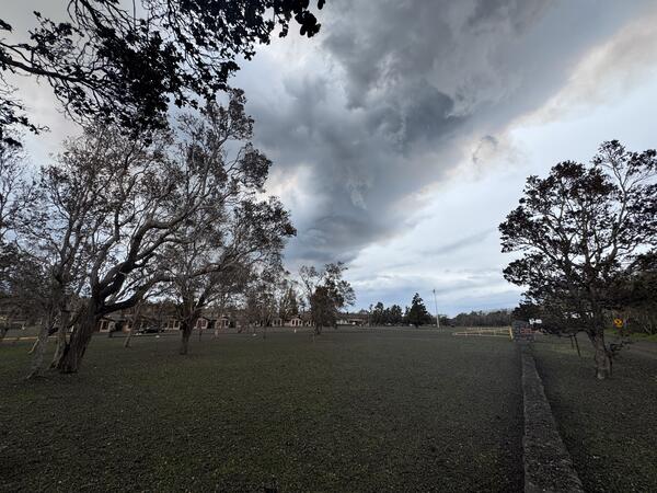 Color photograph of tephra and volcanic plume