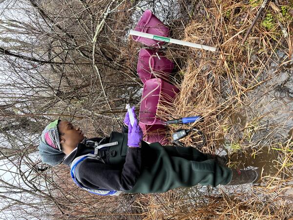 Person wearing dark green waders stands knee deep in marsh recording data