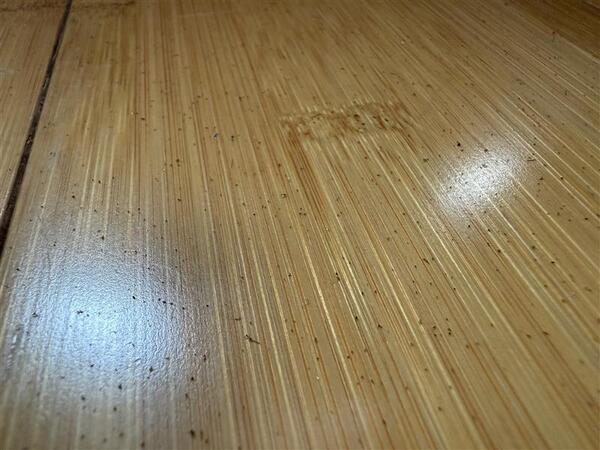 Color photograph of floor with volcanic fallout particles on it