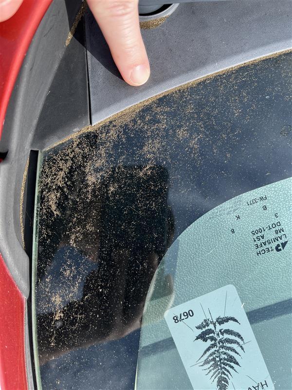 Color photograph showing ash accumulation in Hilo