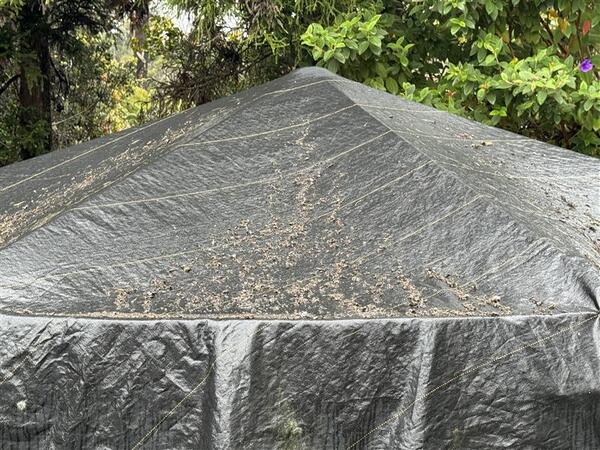 Color photograph of volcanic fallout on water tank