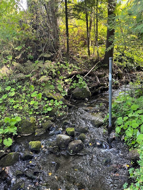 A metal pole stands next to a brook in the forest.