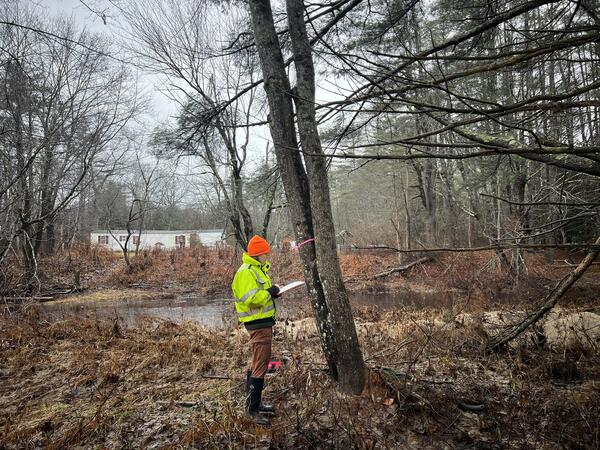 A woman in a neon yellow jacket and orange hat stands in front of a tree in winter.