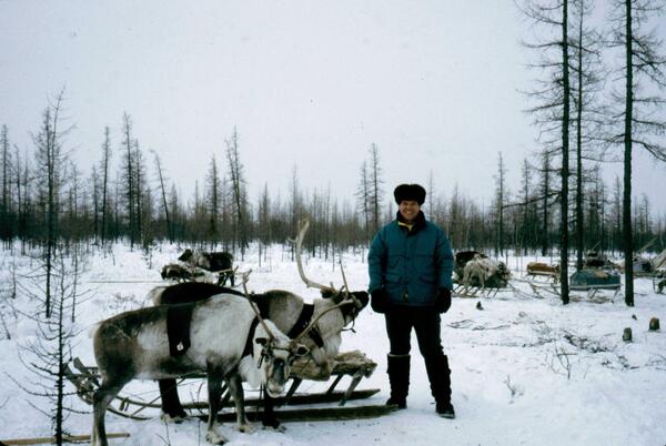 Man standing next to two reindeer in front of a snowy landscape with bare pine trees in the background