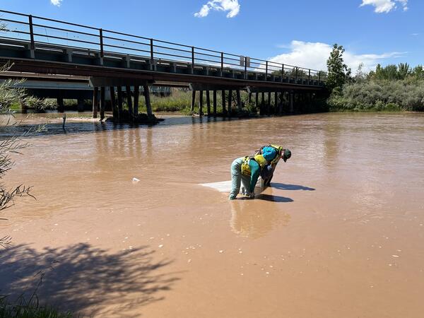 Two USGS employees stand in a slow-moving stream, collecting a surface water sample. 
