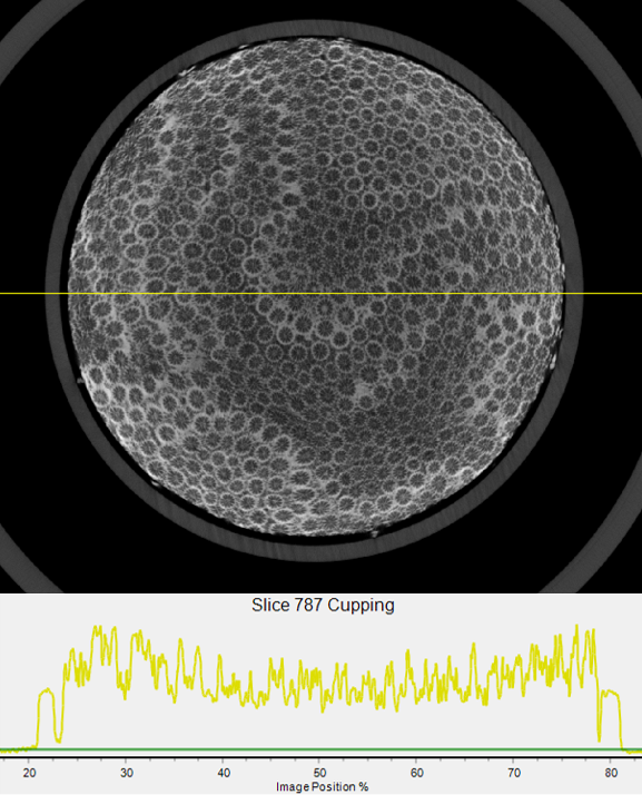 CT scan of Orbicella coral sample with no packing material