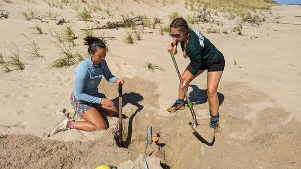 Two people on sandy beach digging up a fence post