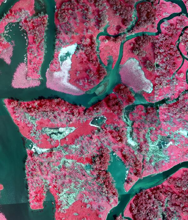 Aerial photograph of Pool 9 floodplain forest in 2020.