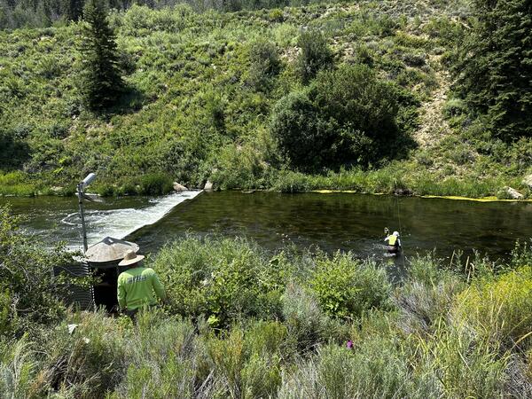 Overlooking vegetated stream banks with hydrotech next to gage house and hydrotech in stream.