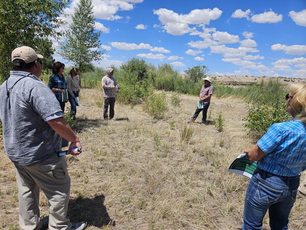 people stand around in a circle in brown grasses, shrubs, partly cloudy sky surrounding
